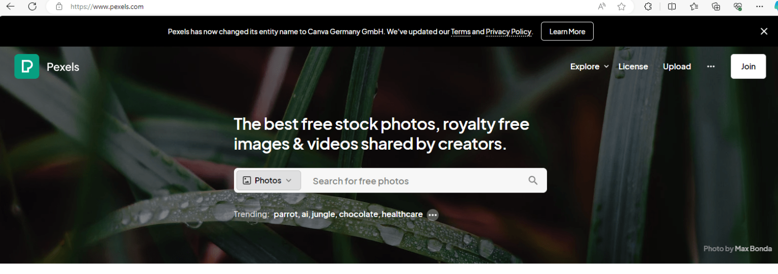 Best Free Image Sources to Enhance Your Social Media Posts wOOtWP