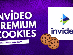 invideo-premium-cookies